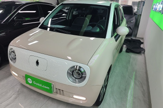 欧拉黑猫 2021款 351km 豪华型