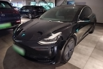 特斯拉 Model 3 2020款 改款 标准续航后驱升级版