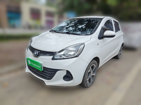 长安 奔奔E-Star 2021款 国民版 心怡版 三元锂