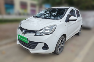 长安 奔奔E-Star 2021款 国民版 心怡版 三元锂