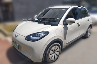 五菱汽车 五菱缤果 2023款 333km 快享款