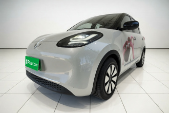 五菱汽车 五菱缤果 2023款 203km 舒享款