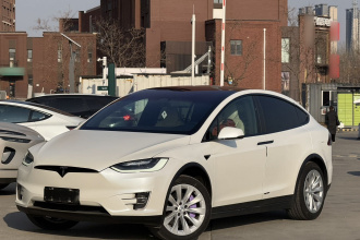 特斯拉 Model X 2019款 长续航版