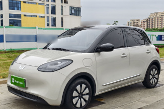 五菱汽车 五菱缤果 2024款 333km 悦享款