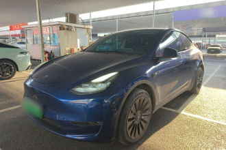 特斯拉 Model Y 2021款 标准续航后驱版