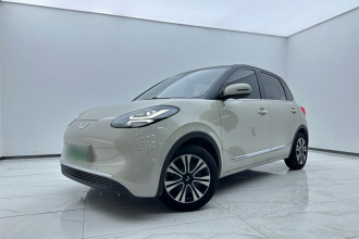 五菱汽车 五菱缤果 2023款 203km 舒享款