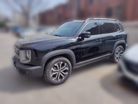 哈弗大狗 2024款 1.5T DCT边牧版