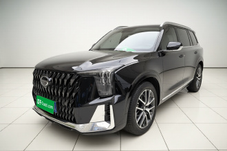 广汽传祺 传祺GS8 2022款 双擎系列 2.0TM 两驱尊贵版 （七座）