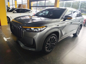 奇瑞 瑞虎9 2023款 2.0T 双离合两驱豪华版 5座