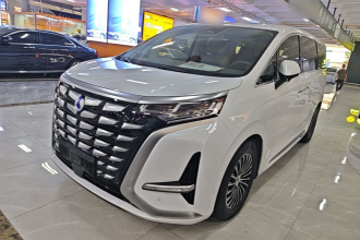 腾势D9 2024款 DM-i 1050 尊享型