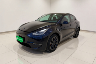 特斯拉 Model Y 2021款 长续航全轮驱动版 3D7