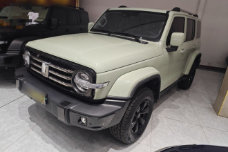 坦克300 2021款 城市版 2.0T 我看型