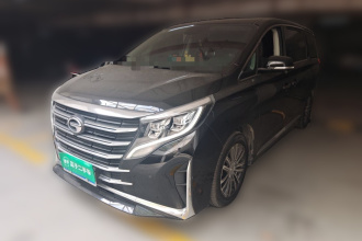 广汽传祺 传祺M8 2021款 领秀系列 390T 至尊版