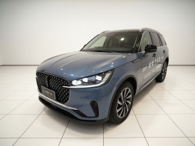 林肯 飞行家 2024款 3.0T V6 四驱高雅版 六座