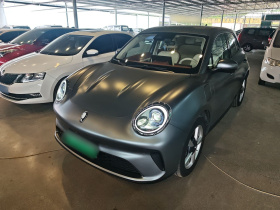 欧拉好猫GT 2025款 木兰版 430km 尊荣型