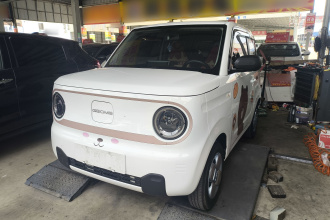 吉利银河 2023款 熊猫mini 200km 耐力熊