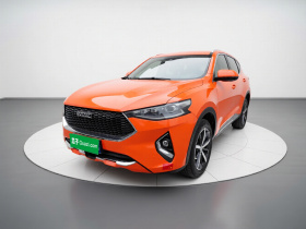 哈弗F7 2019款 1.5T 两驱i潮 国VI