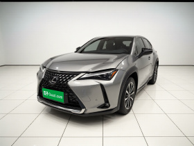 雷克萨斯UX新能源 2020款 300e 纯·悦版