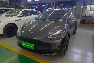 特斯拉 Model Y 2024款 长续航全轮驱动版