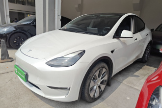 特斯拉 Model Y 2021款 标准续航后驱版