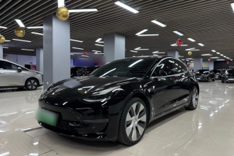 特斯拉 Model 3(进口) 2019款 Performance高性能全轮驱动版