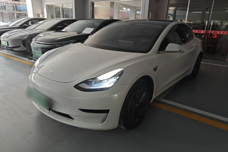 特斯拉 Model 3(进口) 2019款 标准续航后驱升级版