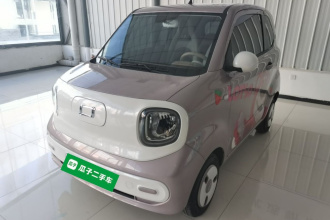奔腾小马 2026款 222km 闪耀马