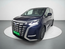 腾势D9 2022款 DM-i 1040 尊贵型