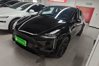 特斯拉 Model Y 2023款 长续航全轮驱动版