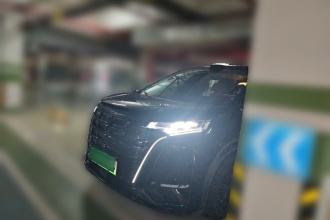 腾势D9 2026款 第二代 EV 两驱闪充尊贵型