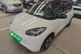 五菱汽车 五菱缤果 2023款 333km 悦享款