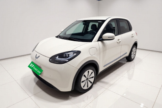 五菱汽车 五菱缤果 2023款 333km 快享款