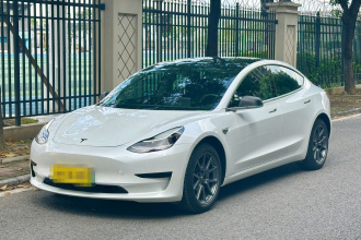 特斯拉 Model 3(进口) 2019款 标准续航后驱升级版