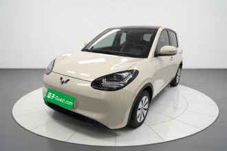 五菱汽车 五菱缤果 2023款 203km 轻享款