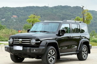 坦克300 2023款 城市版 2.0T 很有型