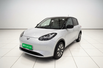 五菱汽车 五菱缤果 2023款 333km 悦享+款