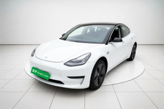 特斯拉 Model 3 2020款 标准续航后驱升级版