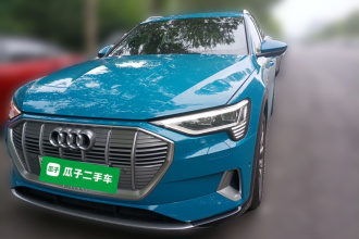 奥迪e-tron(进口) 2019款 55 quattro 全球限量版Edition 1