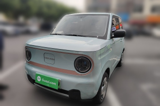 吉利银河 2024款 熊猫mini 200km 耐力熊