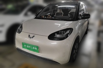 五菱汽车 五菱缤果 2023款 333km 灵犀互联款