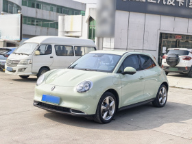 欧拉好猫 2023款 401km标准续航 豪华型 磷酸铁锂