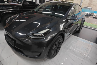 特斯拉 Model Y 2024款 后轮驱动版