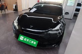 特斯拉 Model 3 2020款 改款 标准续航后驱升级版