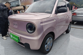 吉利银河 2023款 熊猫mini 200km 耐力熊