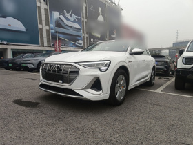 奥迪e-tron 2021款 50 quattro 豪华型