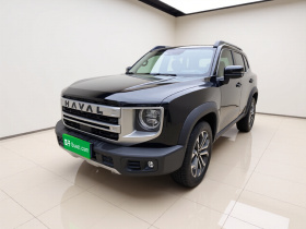 哈弗大狗 2024款 1.5T DCT边牧版