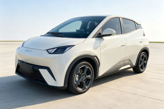比亚迪 海鸥 2024款 荣耀版 305km 自由版
