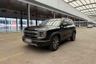 哈弗大狗 2024款 1.5T DCT拉布拉多版