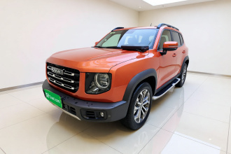 哈弗大狗 2021款 1.5T DCT两驱边牧版