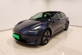特斯拉 Model 3(进口) 2019款 长续航后驱版